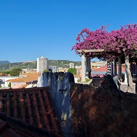 Apartman Jangada