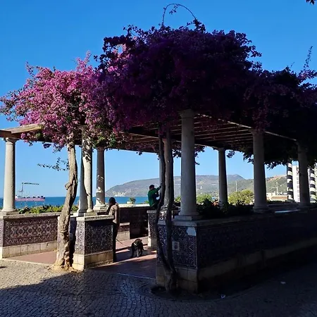 Jangada Setúbal